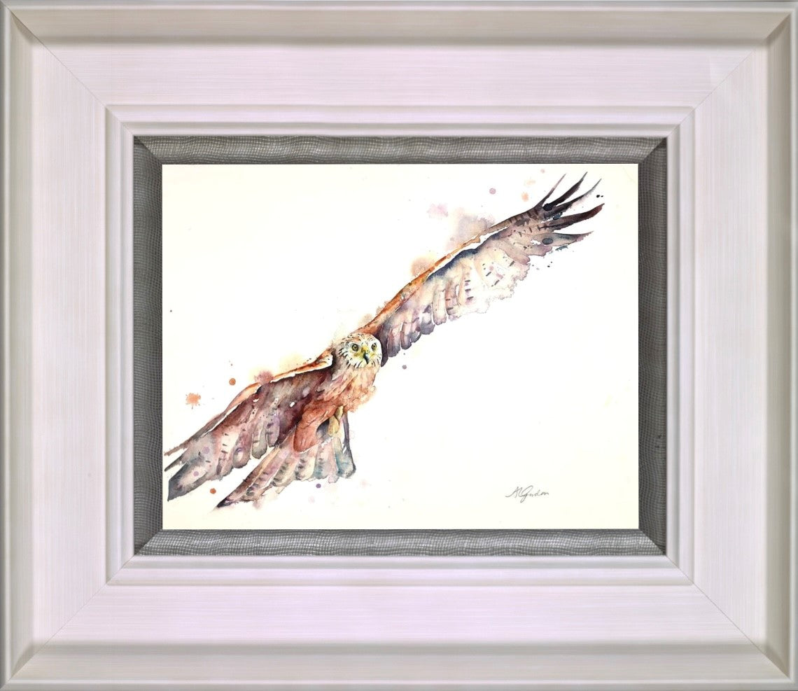 Soaring Red Kite