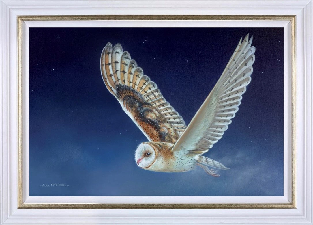 Flying Owl