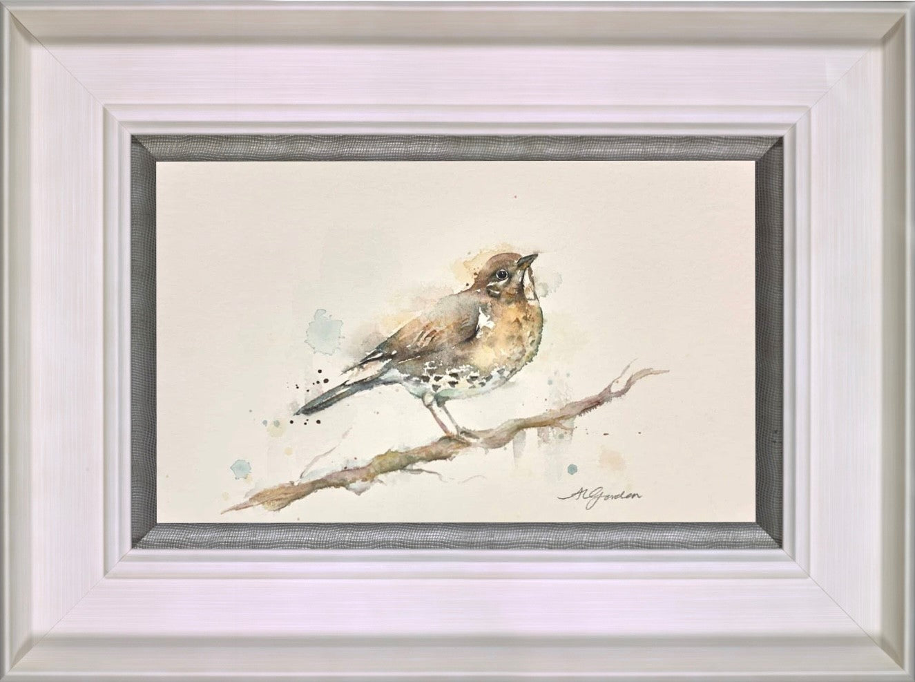 Pretty Song Thrush