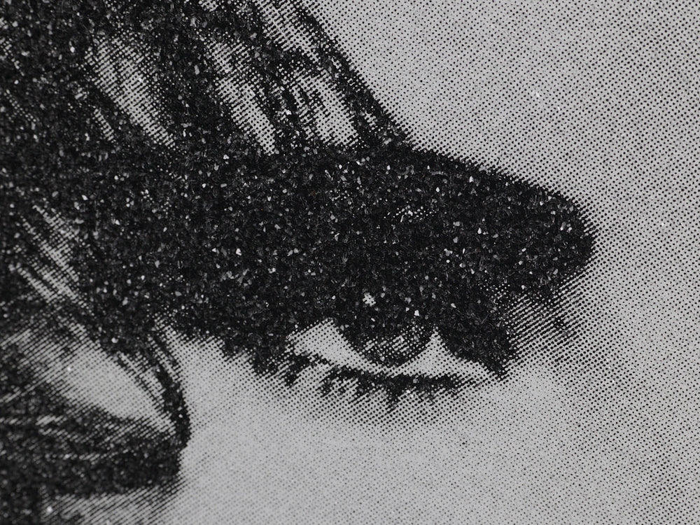 Elizabeth Taylor, 2019 Siren Black