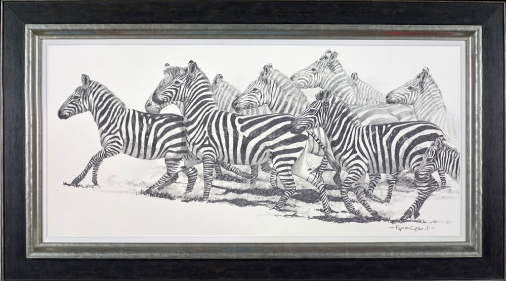 Stripes