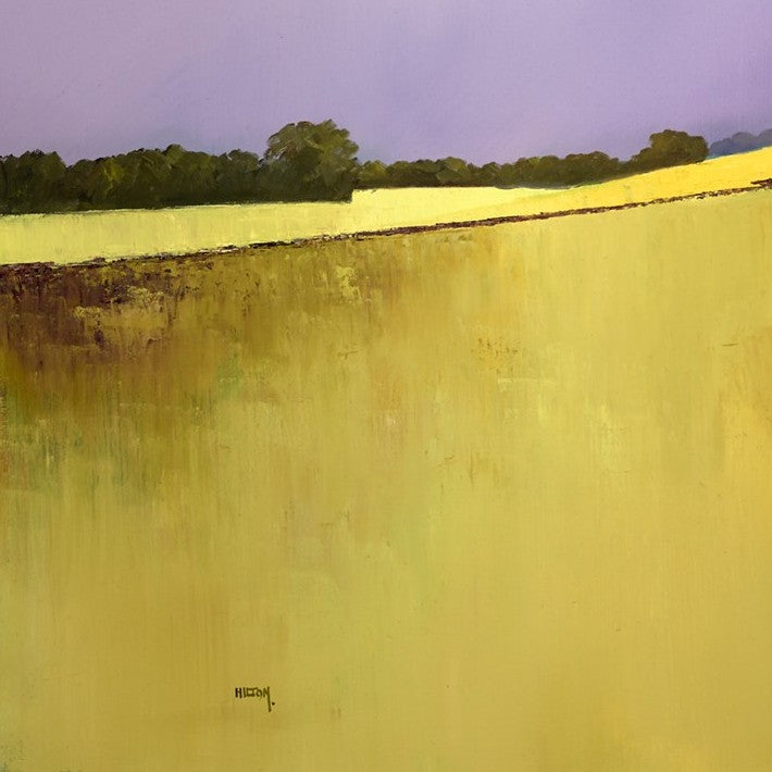 Fields Of Corn