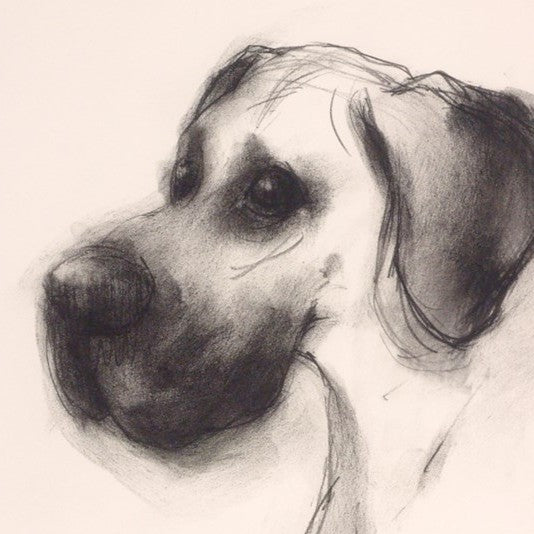 The Great Dane