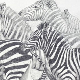 Stripes