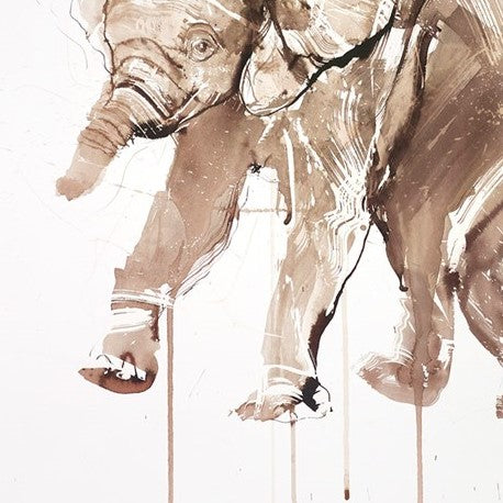 Baby Elephant Ink Study