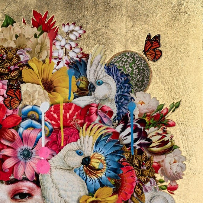 Bloom