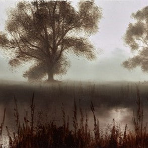 A Time For Reflection II