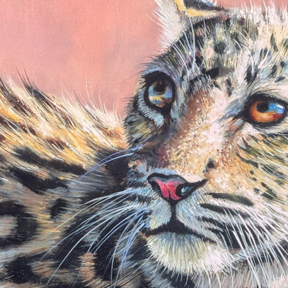 Leopard Cub III