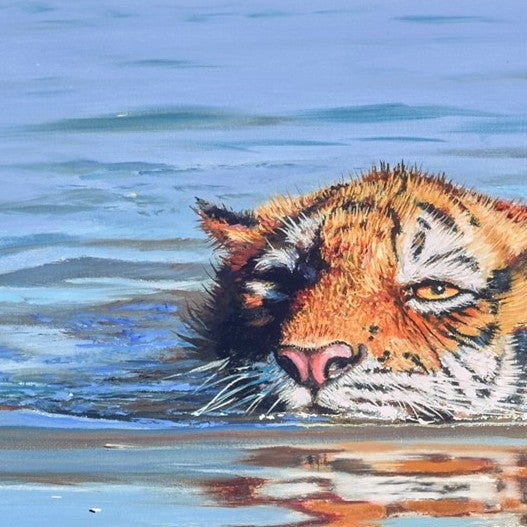 Tiger Cub In Water | Pip McGarry – Clarendon Fine Art