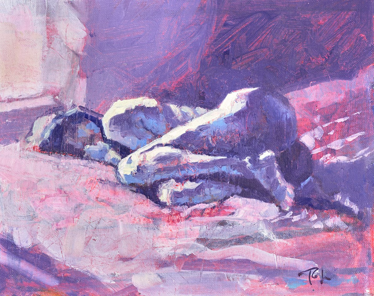 Siesta