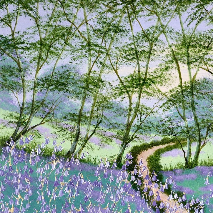 Forest Walkway