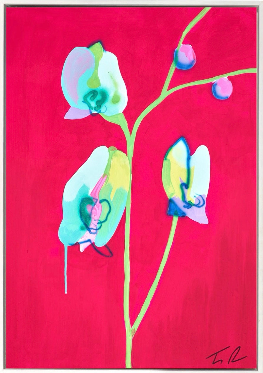 Orchid Red/Green