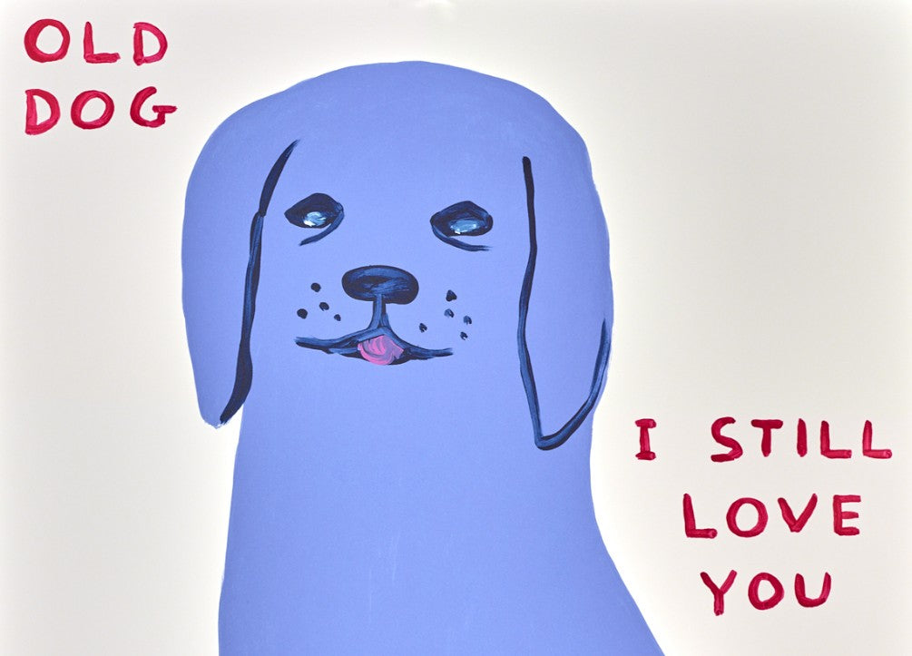 David Shrigley