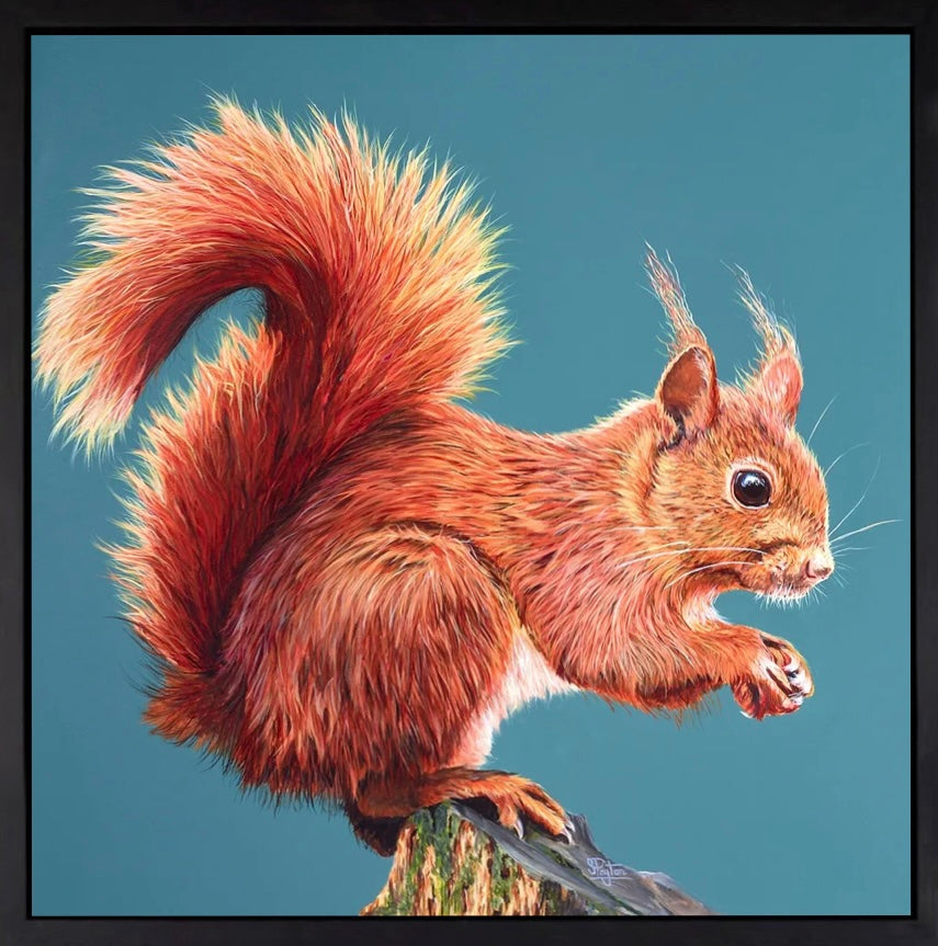 Rufus (Red Squirrel)