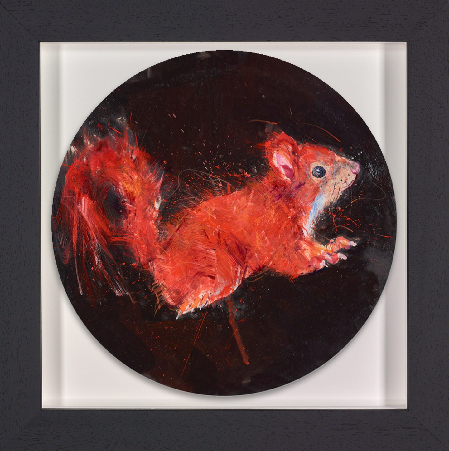 Red Squirrel Study