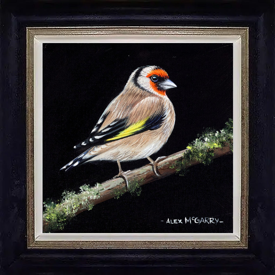 Goldfinch