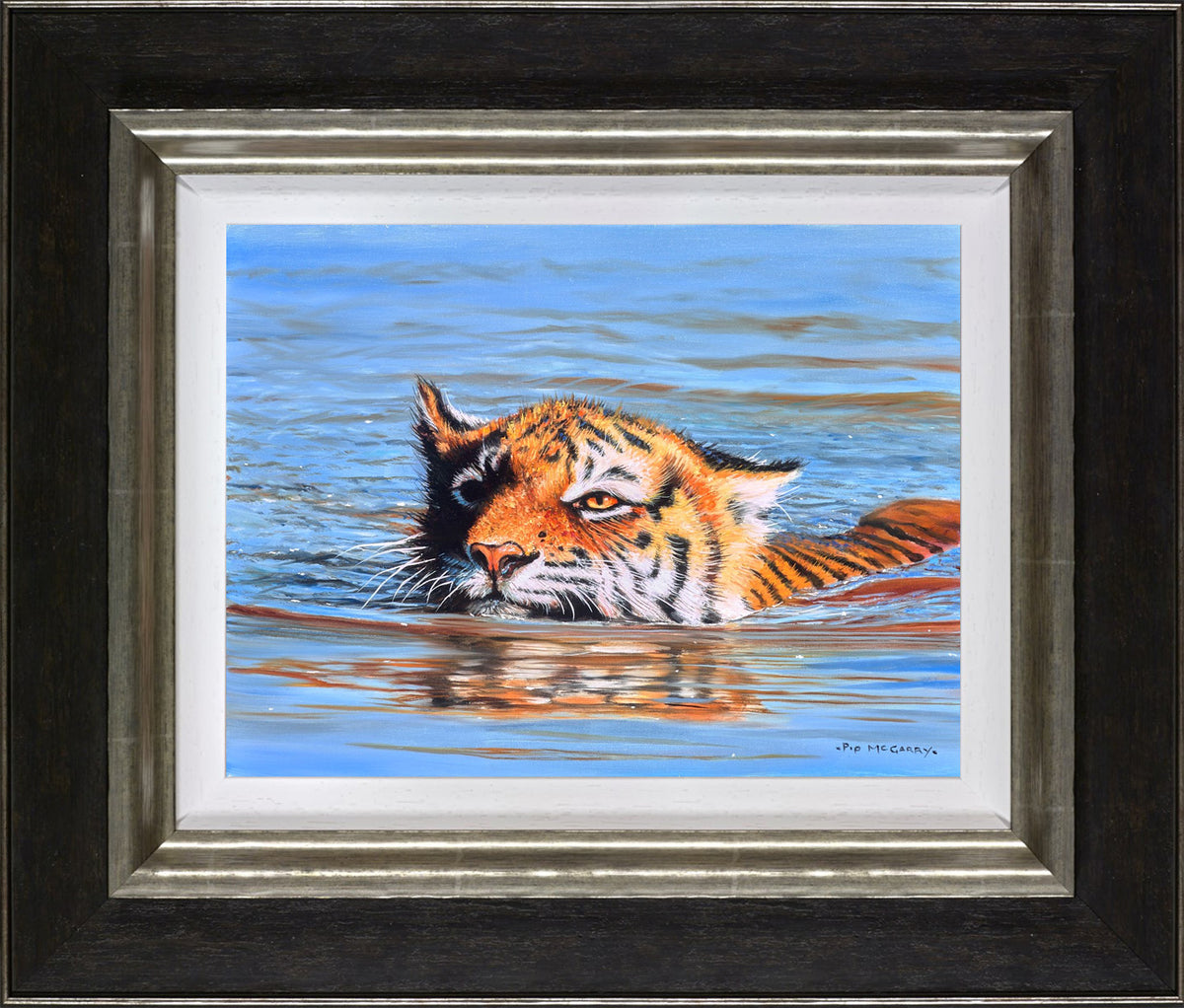 Tiger Cub Swimming