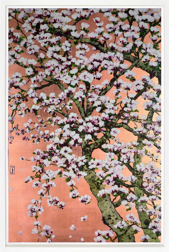 Flowering Oshima Cherry Blossom