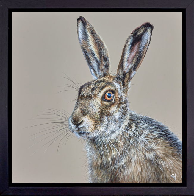 Hare