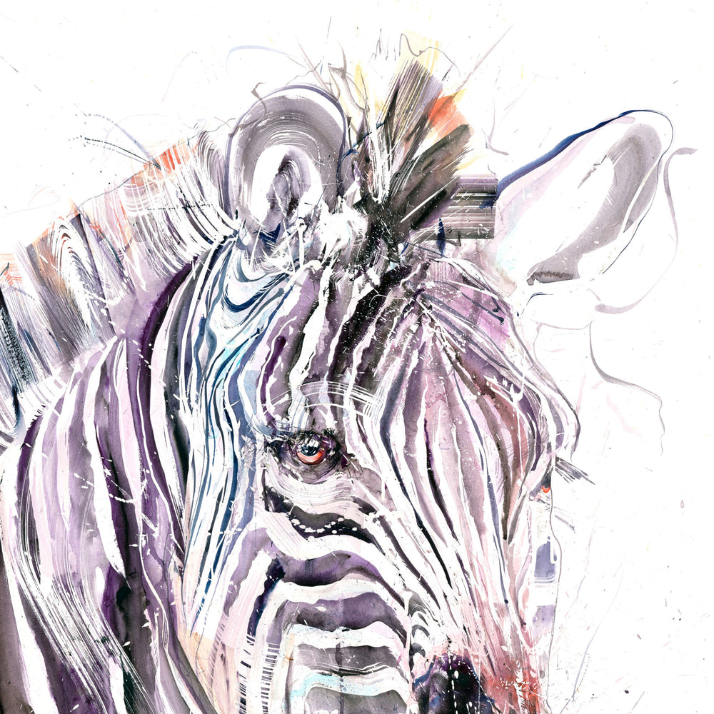 Grevy's Zebra I (Study)