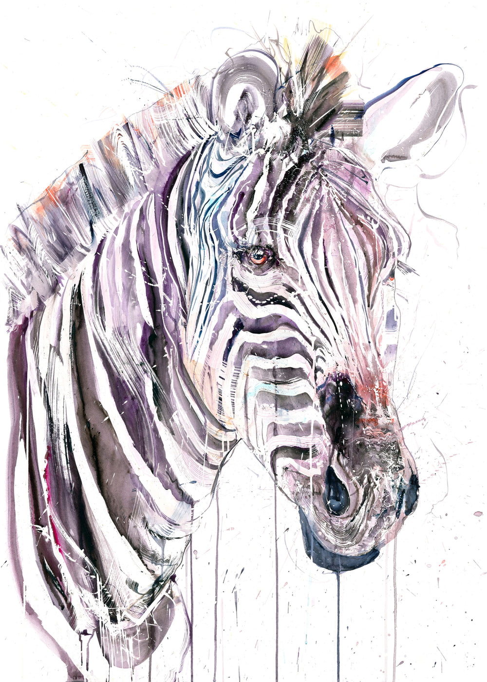 Grevy's Zebra I (Study)