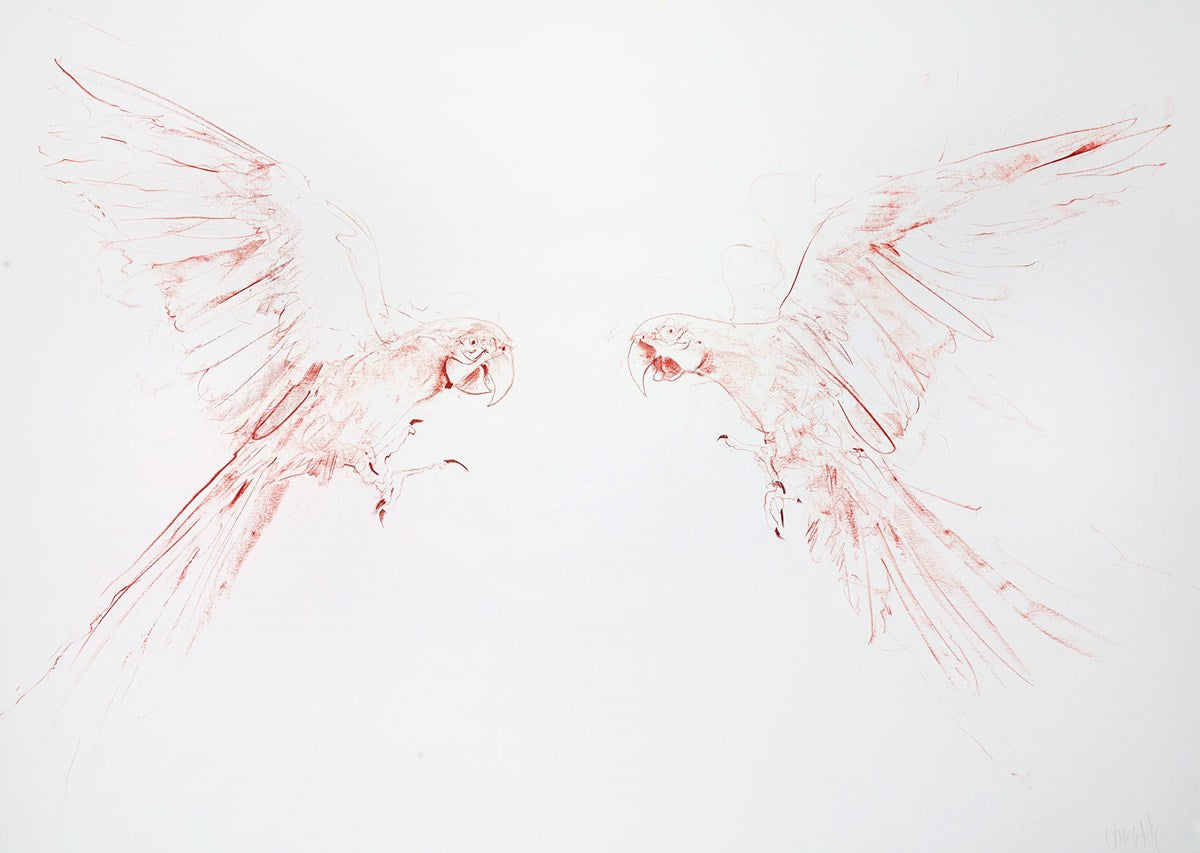 Flight Study III
