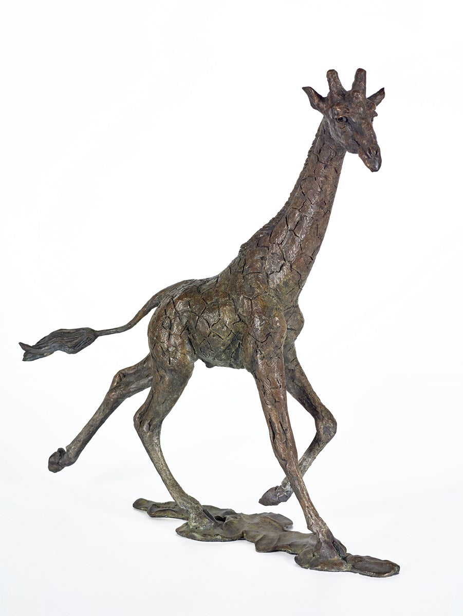 Giraffe Male - 2017