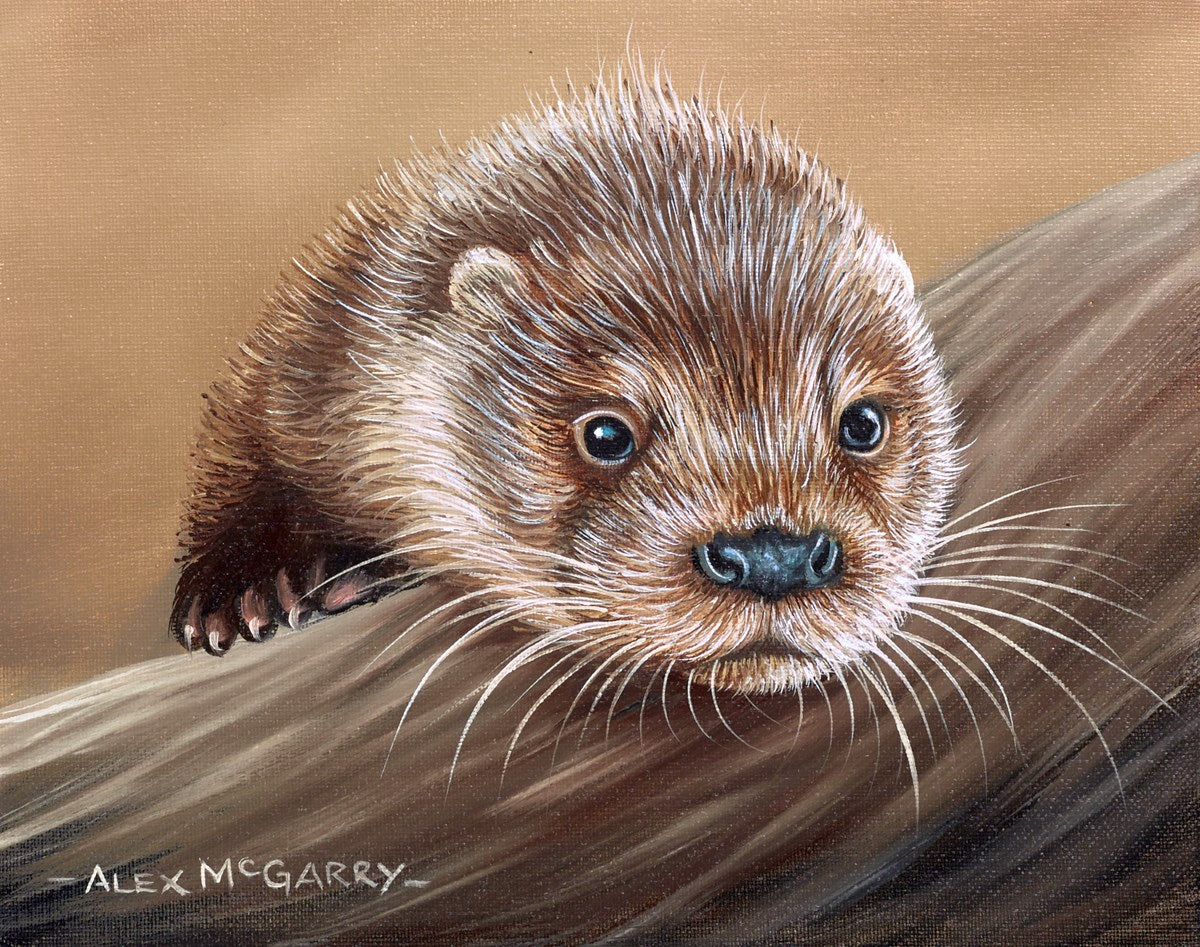 Otter VI