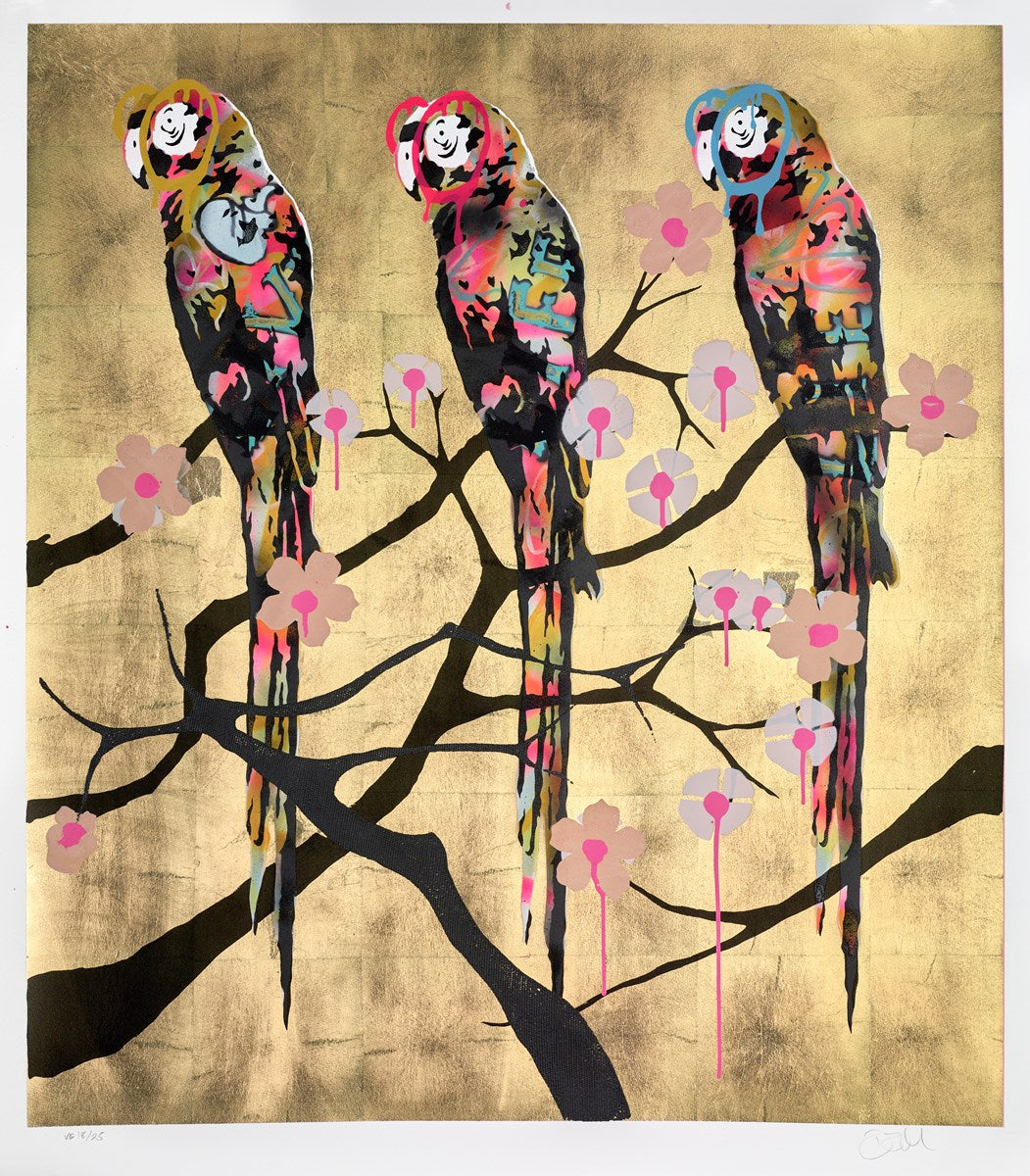 Polly Folly 18/25
