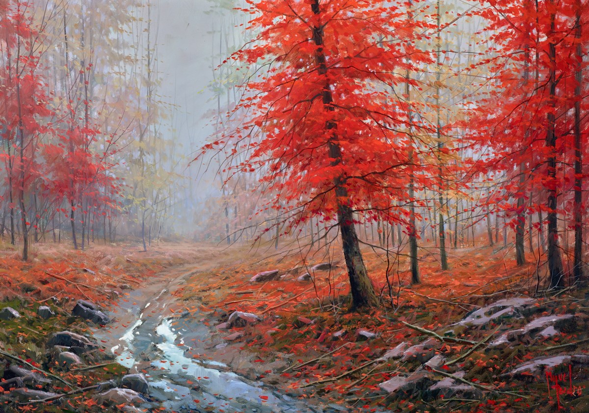 Bosque con Niebla