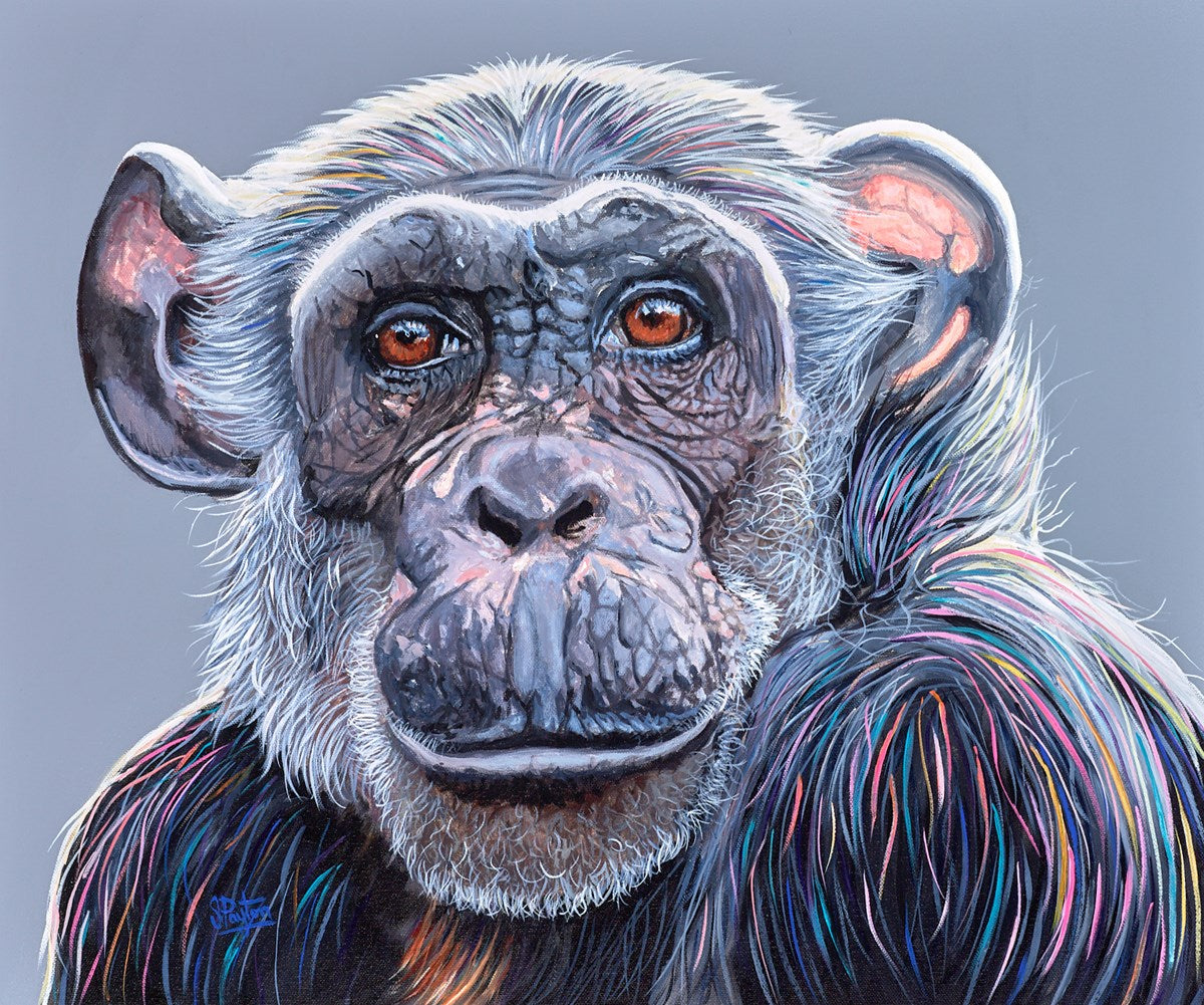 Monkey