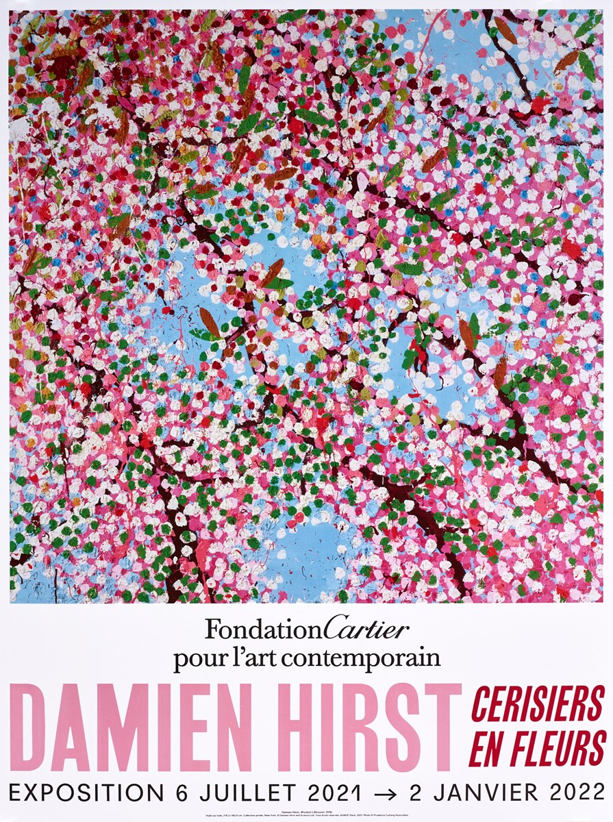 Cherry Blossoms II