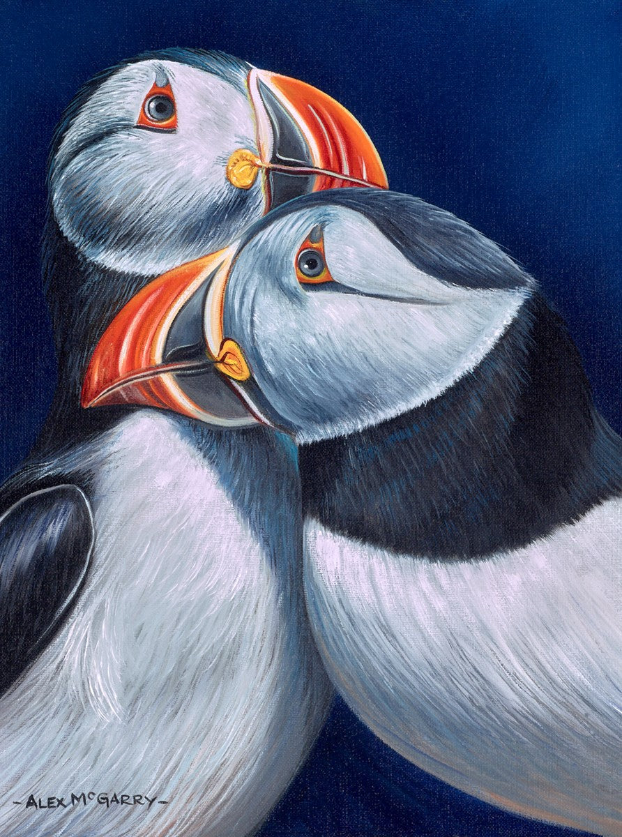Puffins