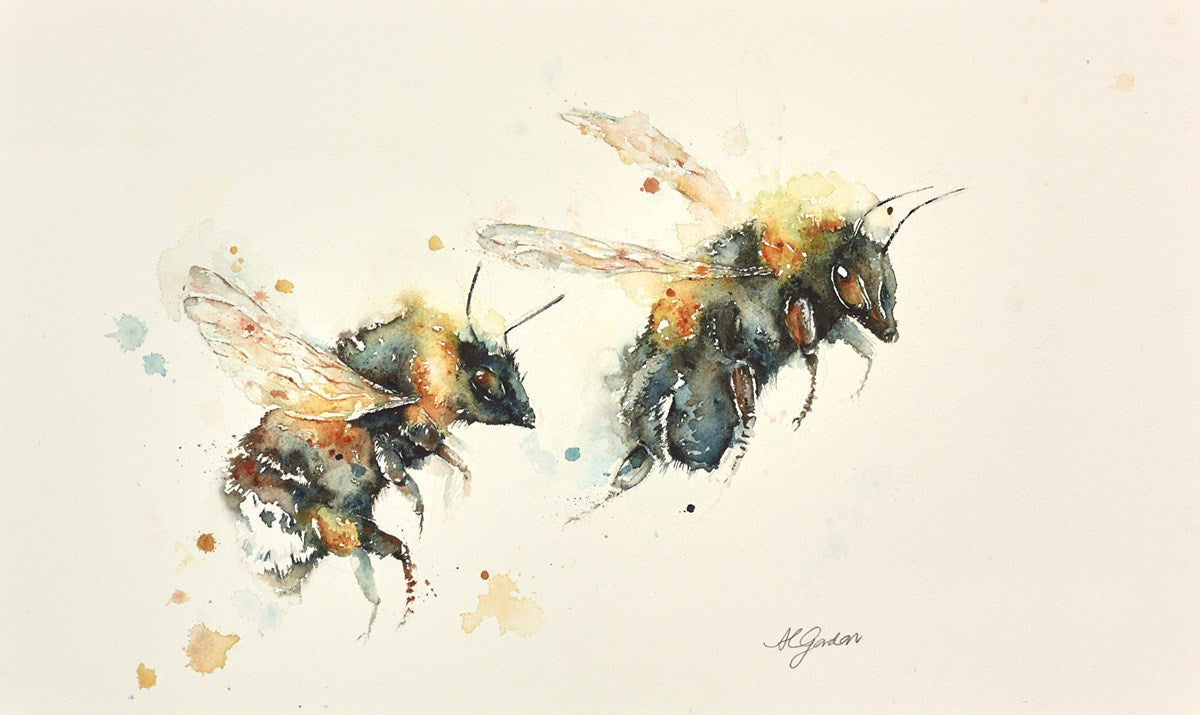 Two Bumbles