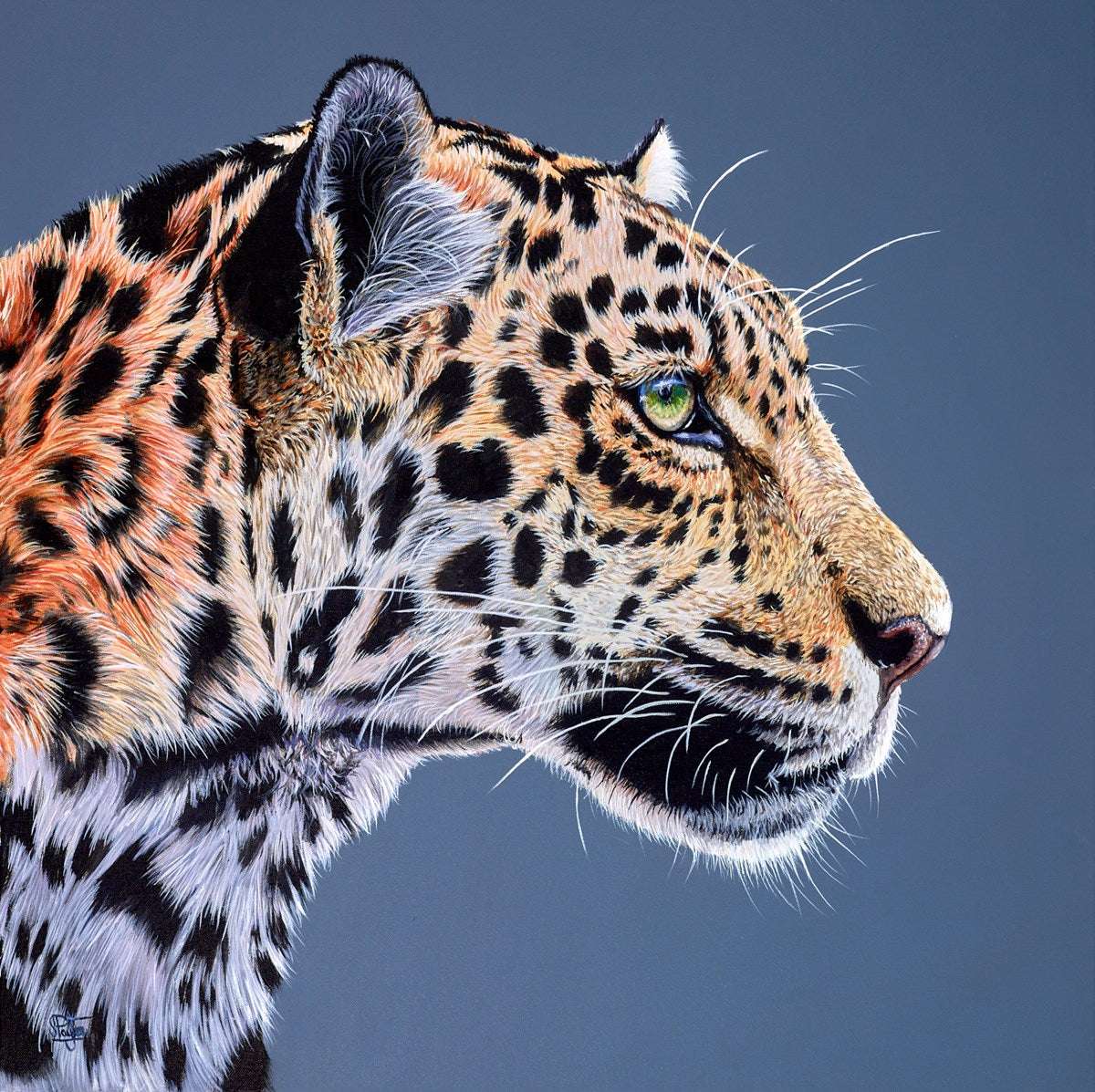 Green Eyed Hunter