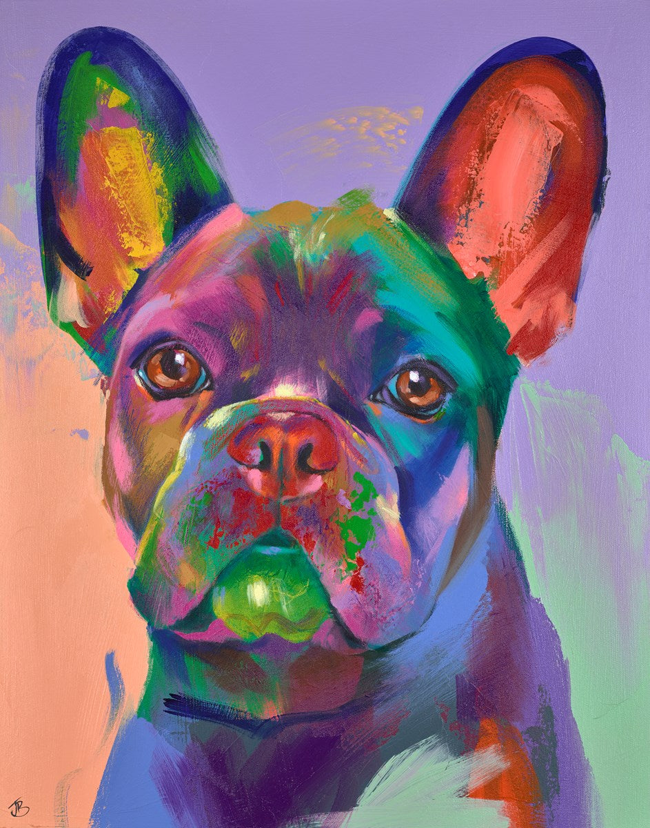 Frenchie Dreaming