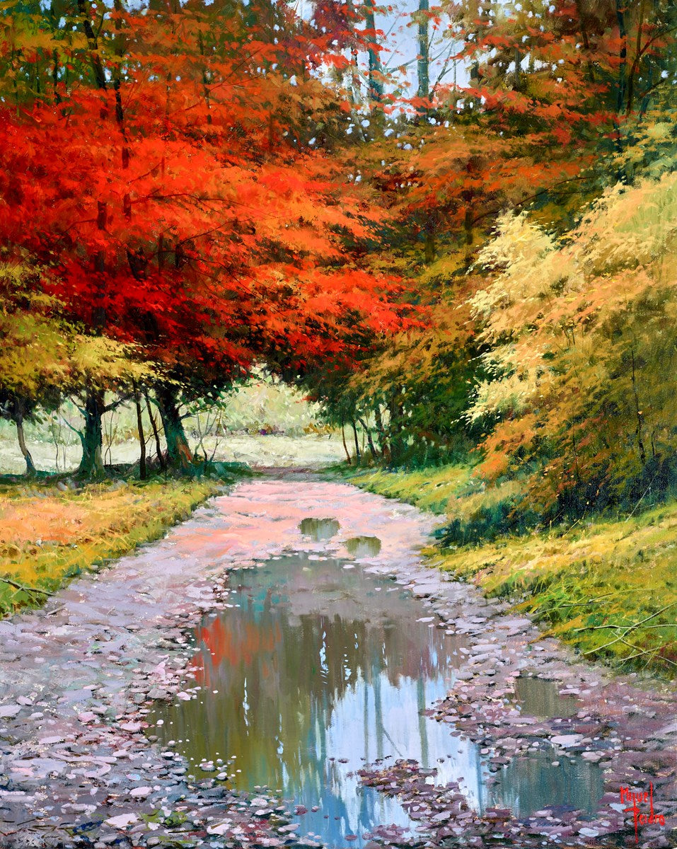 Lluvia en Otoño