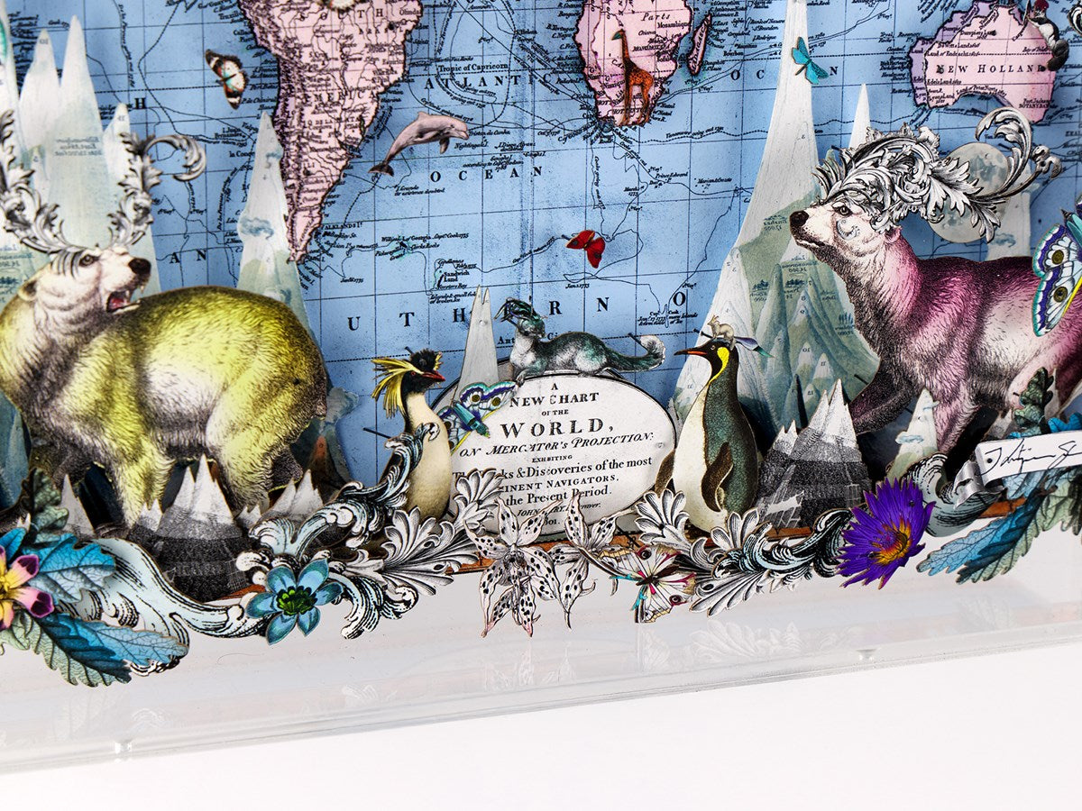 Navigators Floating Map - Polar Bear Discoveries of the world (Detail2)