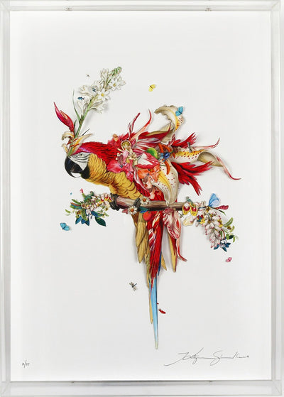 Botanical Harry Gin Bird II (Framed)