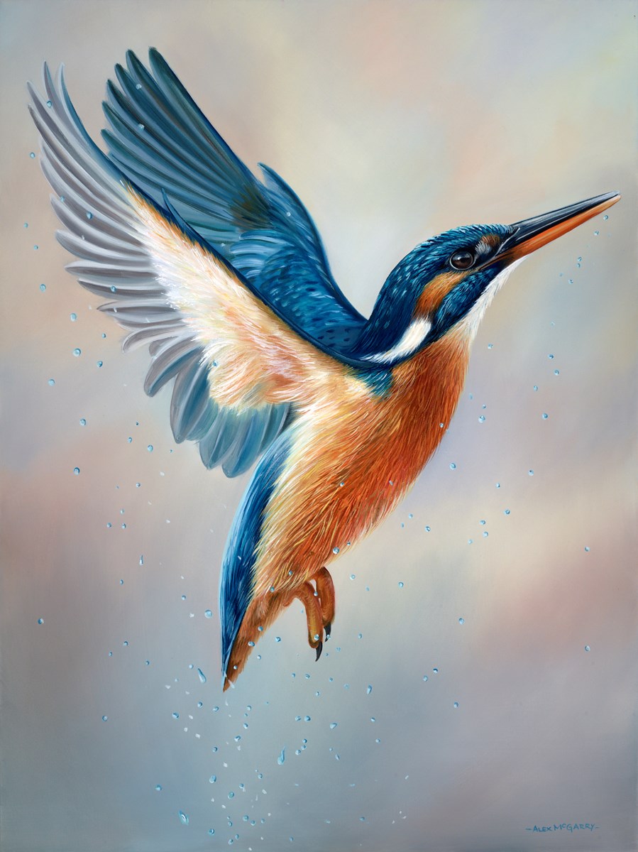 Kingfisher in Flight II
