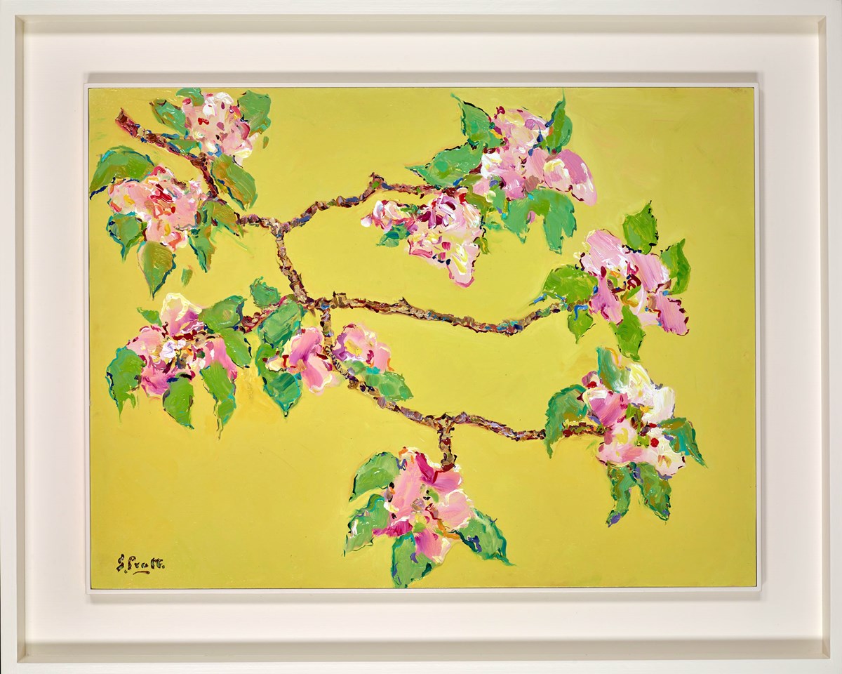 Foxhill Blossom IV