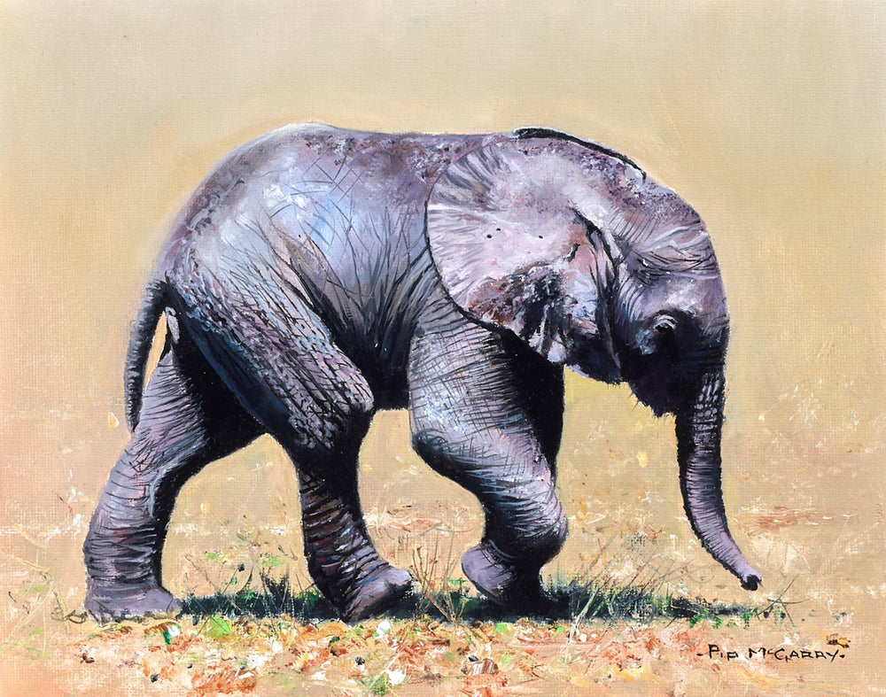 Elephant Baby