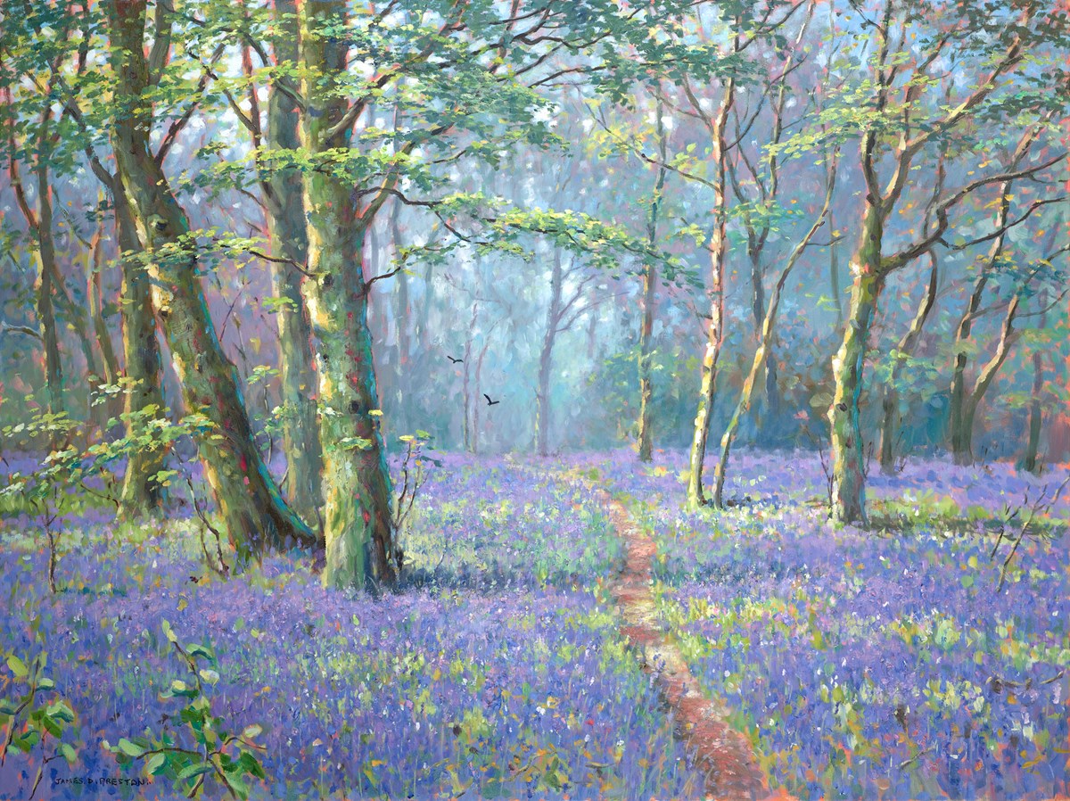 Bluebell Wood
