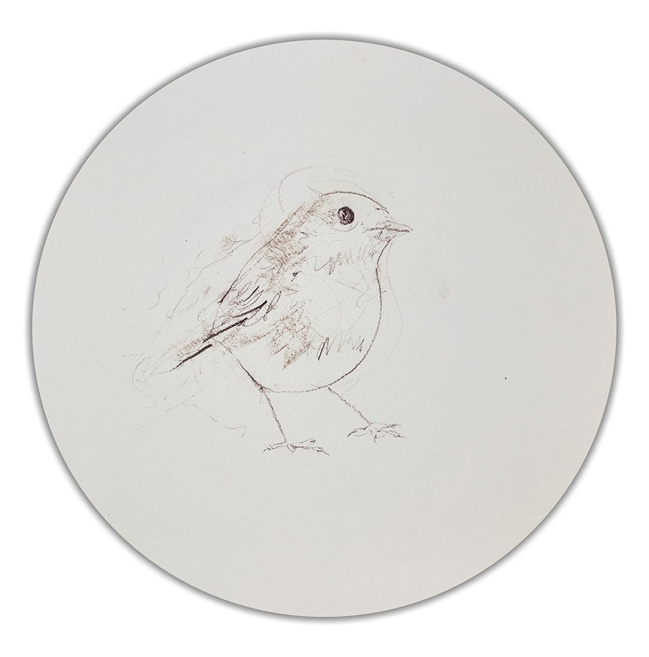 Robin Sketch V