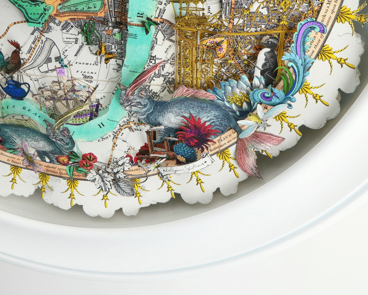 The Curious Carriage