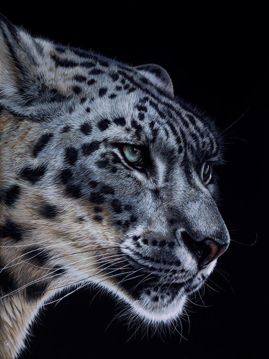 Snow Leopard VI