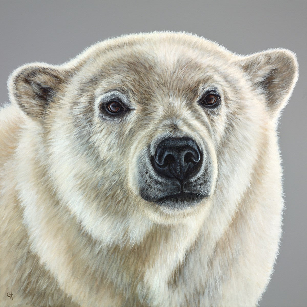 Polar Bear