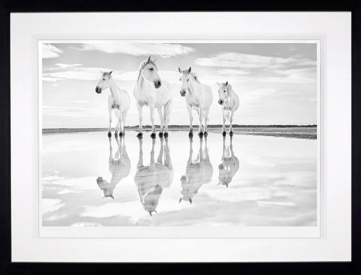 Calm Waters (Framed)