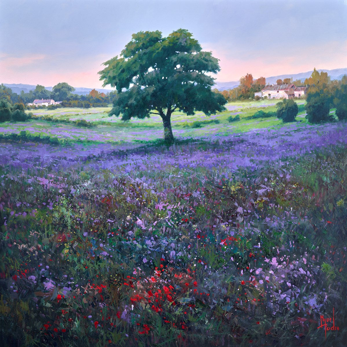 Campos de Lilas