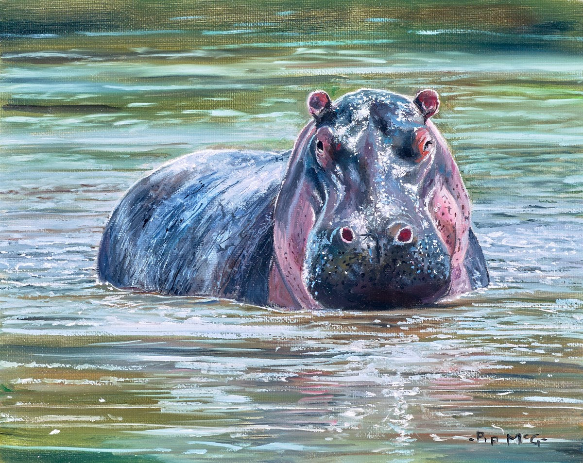 The Hippo Pool